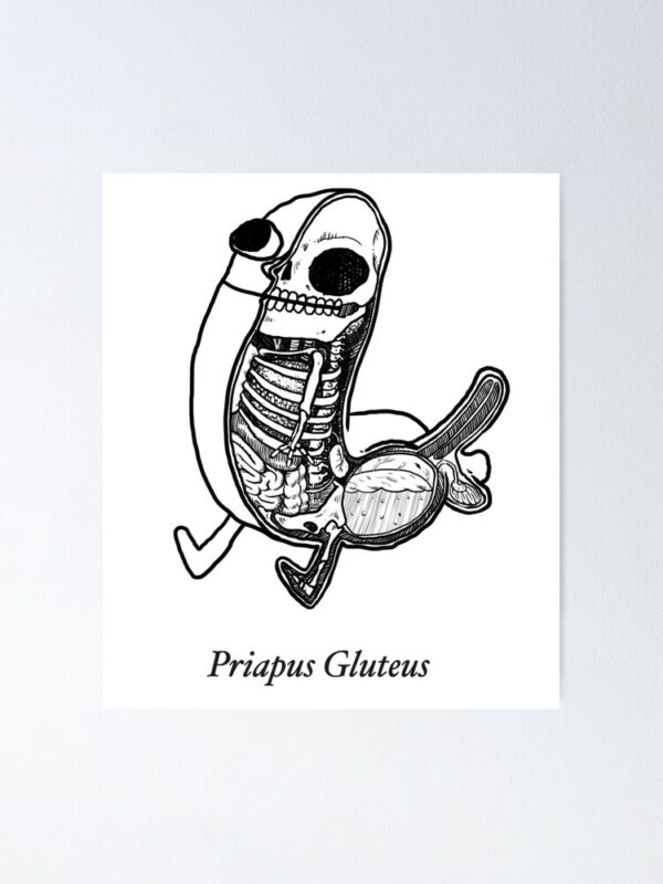 priapus gluteus Poster