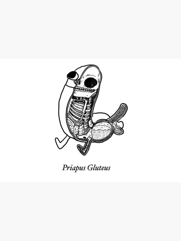 priapus gluteus Journal - Image 7