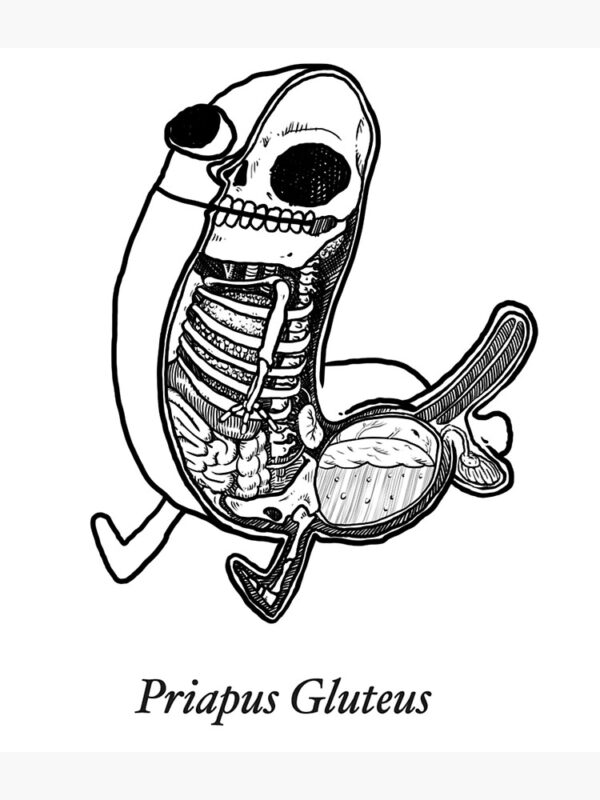 priapus gluteus Poster - Image 3