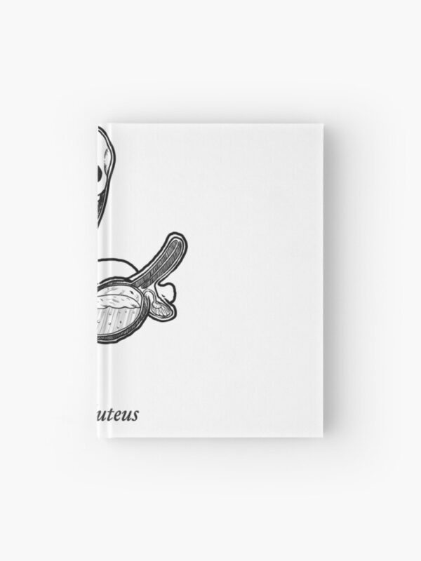 priapus gluteus Journal - Image 5